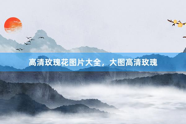 高清玫瑰花图片大全，大图高清玫瑰