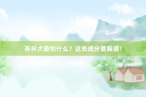 茶杯犬最怕什么？这些成分要躲避！
