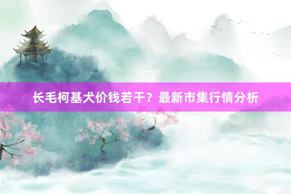 长毛柯基犬价钱若干？最新市集行情分析